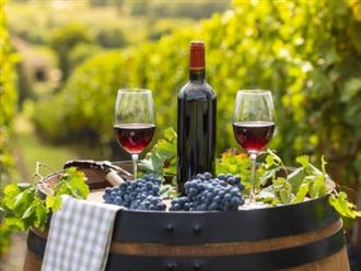 7 Điều cần biết về rượu vang